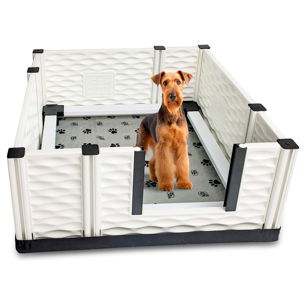 EZwhelp EZclassic Windowed 48"x48"x18" Whelping Box with Rails and Windowed Walls, Padded Dog Whelping Box, Black Pad