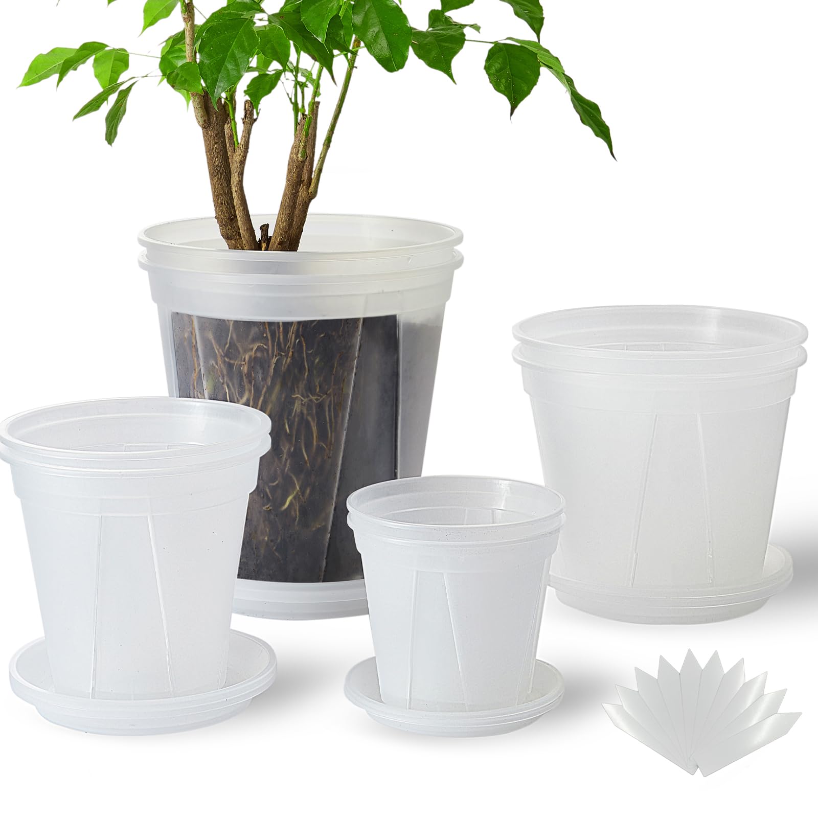 24 pcs 6/5 inch Clear Nursery pots for Plants Saucers,5/6 inch Clear Heavy pots with Side Vents for Reporting Orchids,Aroid,Monstera, Indoor & Outdoor use