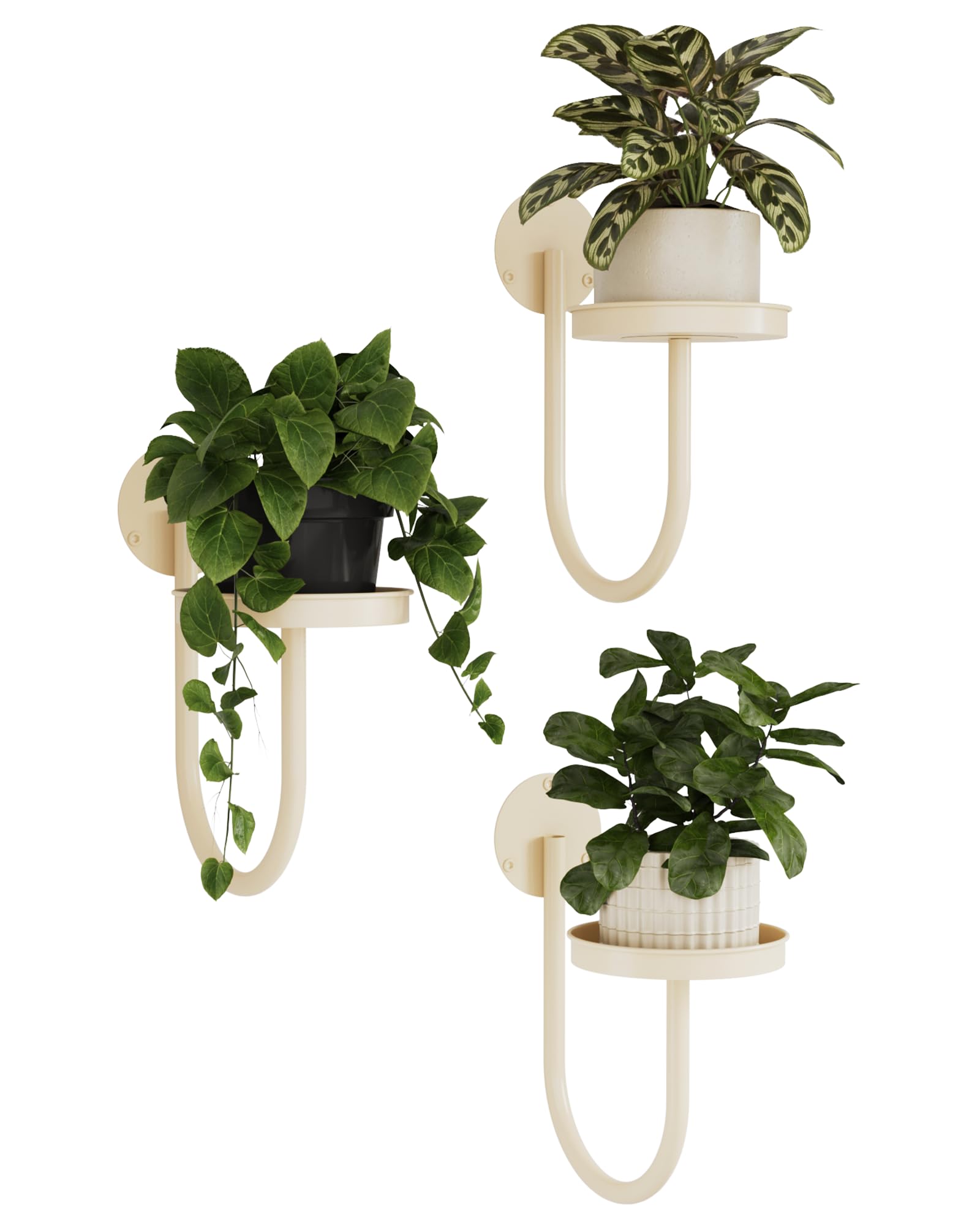 Bamworld Hanging Planters for Indoor Plants Wall Plant Holder Plant Hanger Indoor Wall Planters Window Plant Shelves Hanging Plant Holder Window Plant Hanger Plant Decor Black 3pcs