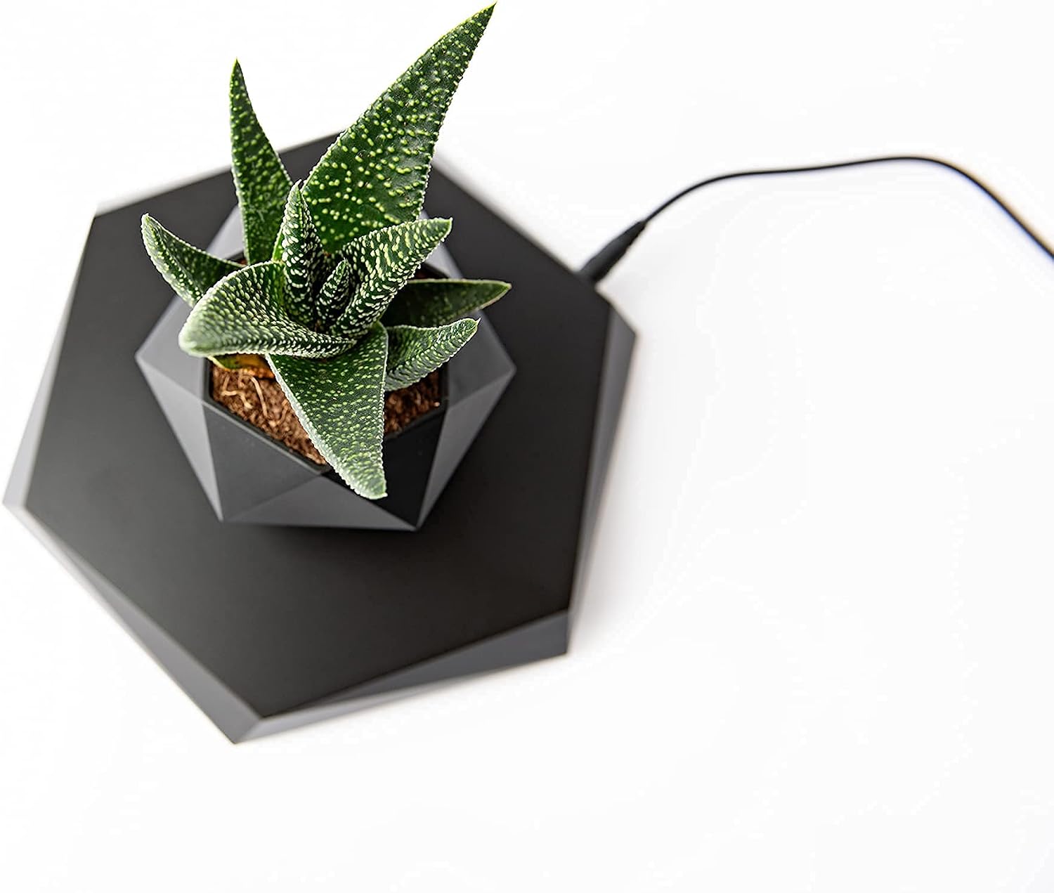 BandDlevs Floating Pots for Plants - Levitating Pot - Levitating Planter for Bonsai, Succulents, Air Plants - Floating Magnetic Display for Home Office Desks - Magnetic Levitation Plant Holder (Black)