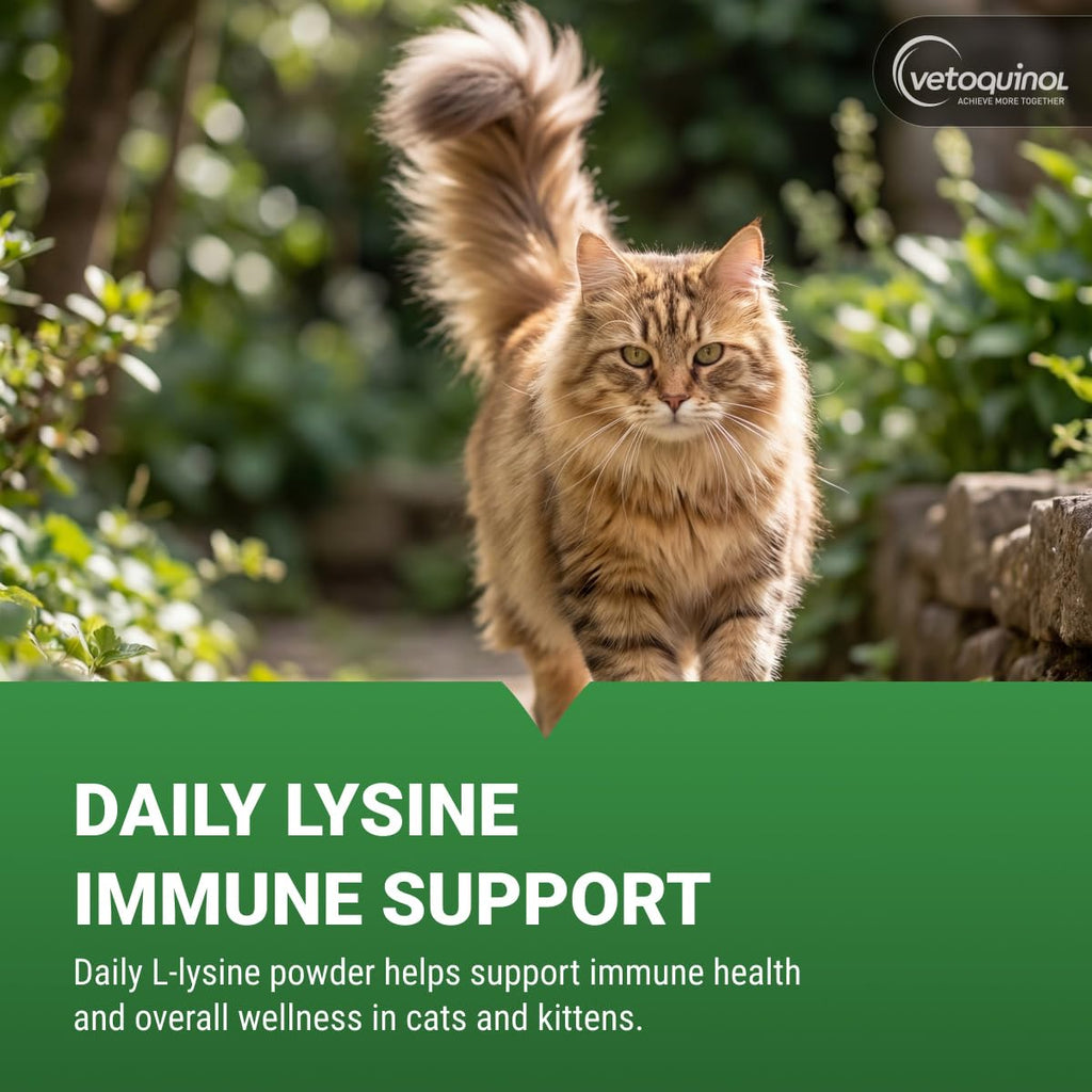 Vetoquinol Viralys - Lysine Supplement for Cats & Kittens - Supports Eye Wellness, Respiratory Health & Immune Strength - Flavored Oral Powder for Easy Feeding & Daily Use - 100 Grams