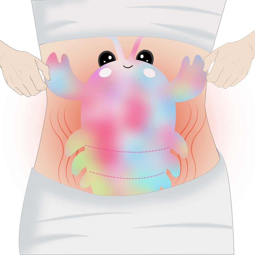 Microwavable Heating Pad for Cramps, Cuddly Warming Pillow, Cute Lobster Plush with Heating Pad (Mullticolor)