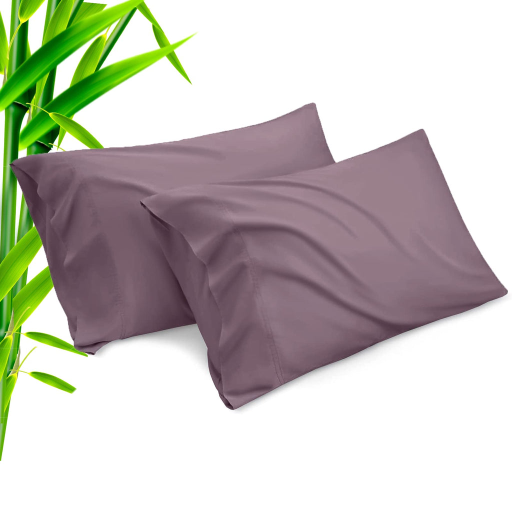 Pillow Cases Standard Size 2 Pack, Bamboo Rayon Cooling Pillowcases with Envelope Closure, Cool Breathable Pillow Case for Hot Sleepers & Night Sweats, 20x26 inches, Aqua Blue