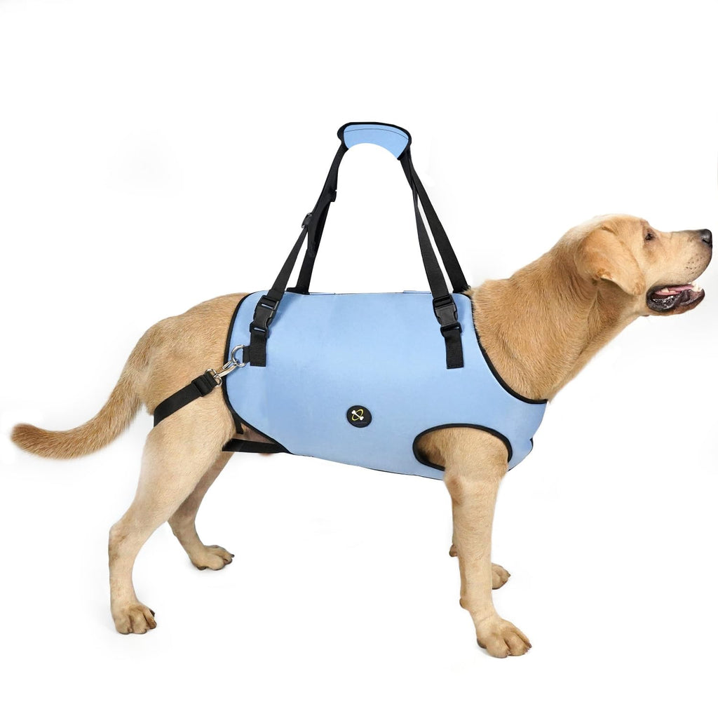 Coodeo Dog Lift Harness, Pet Support & Rehabilitation Sling Lift Adjustable Padded Breathable Straps for Old, Disabled, Joint Injuries, Arthritis, Loss of Stability Dogs Walk (Black, XS)
