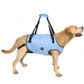 Coodeo Dog Lift Harness, Pet Support & Rehabilitation Sling Lift Adjustable Padded Breathable Straps for Old, Disabled, Joint Injuries, Arthritis, Loss of Stability Dogs Walk (Black, XS)