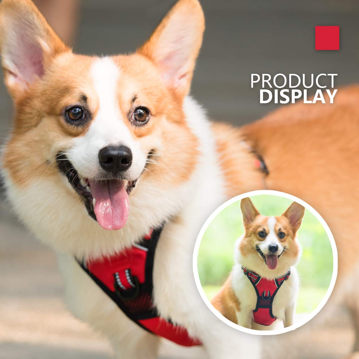 PoyPet Dog Harness No Pull, Reflective Vest Harness with Front & Back 2 Clips and Easy Control Handle for Small Medium Large Dog (XS, Black)