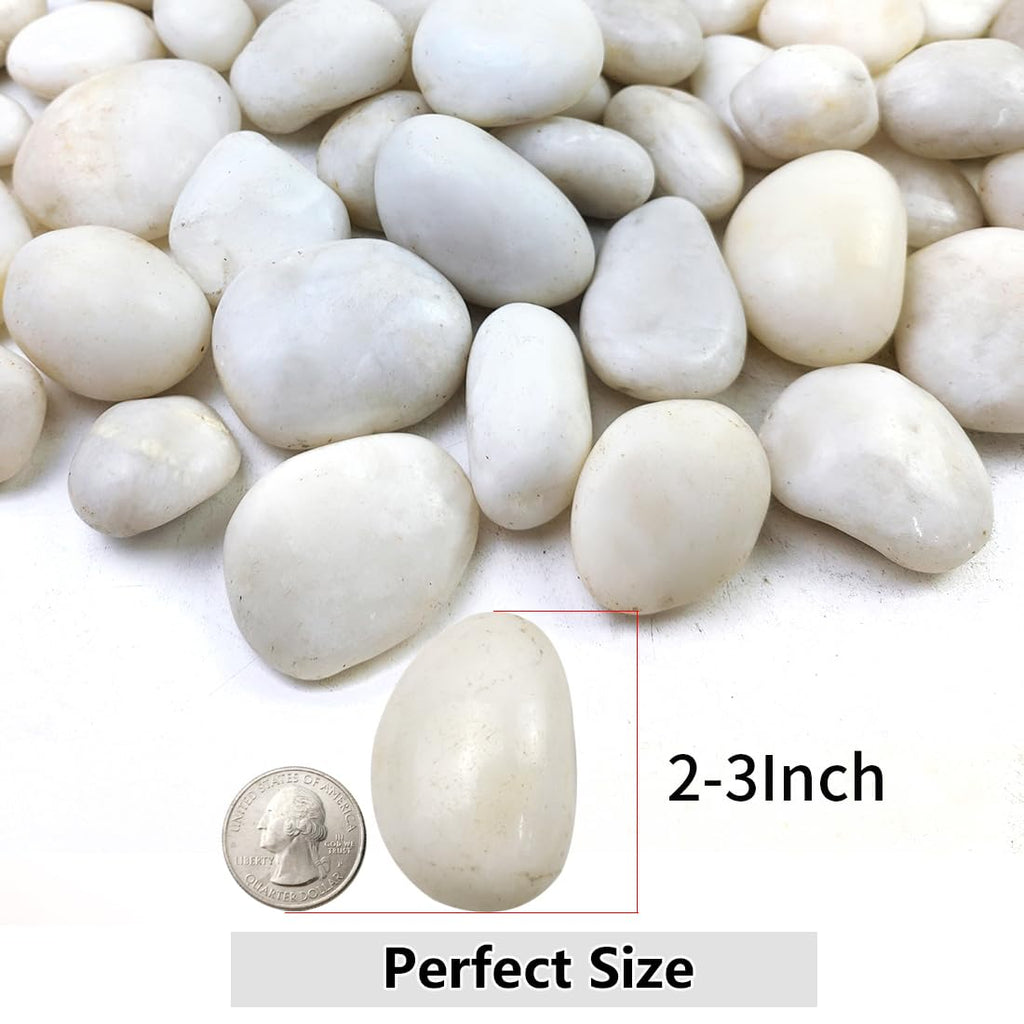 YISZM 5lbs Black Pebbles for Plants, 2-3 Inch High Polished Natural Large River Rocks for Landscaping, Decorative Stones Vase Filler Fish Tank Aquariums Garden Outdoor and Indoor DIY