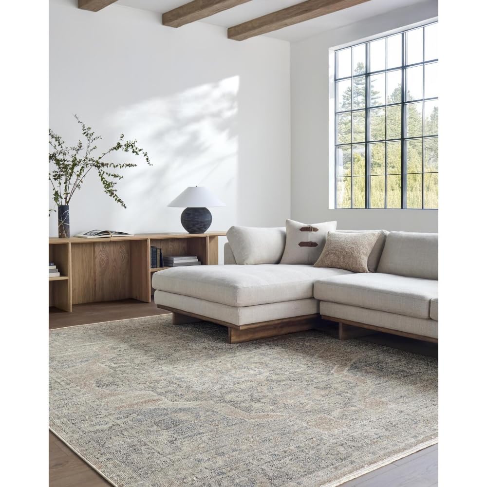 Livabliss x Galey Alix Maria Elena III Vintage Medallion Area Rug, 5'3" x 7' (5' x 7'), Brown