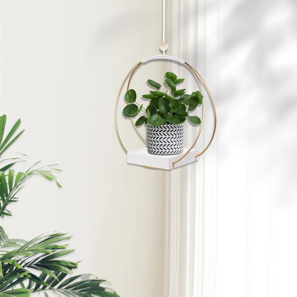 Hanging Planter for Indoor Plants, Black Plant Hanger Indoor with Sturdy Wood Base, Modern Boho Macrame Plant Hanger for 3-5.5 Inch Pot, Hanging Wall Ceiling Window Home Decor (Pots Not Included)