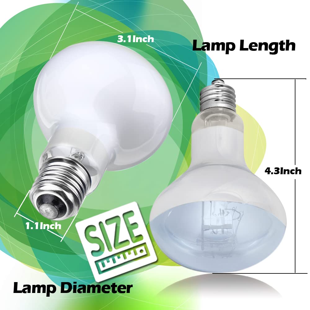 2 Pack 50W Reptile Heat Lamp Bulb Amphibian Basking Light Bulb, Reptile Daylight Bulb for Turtle, Bearded Dragon, Lizard,Chicken with Stick-on Digital Temperature Thermometer