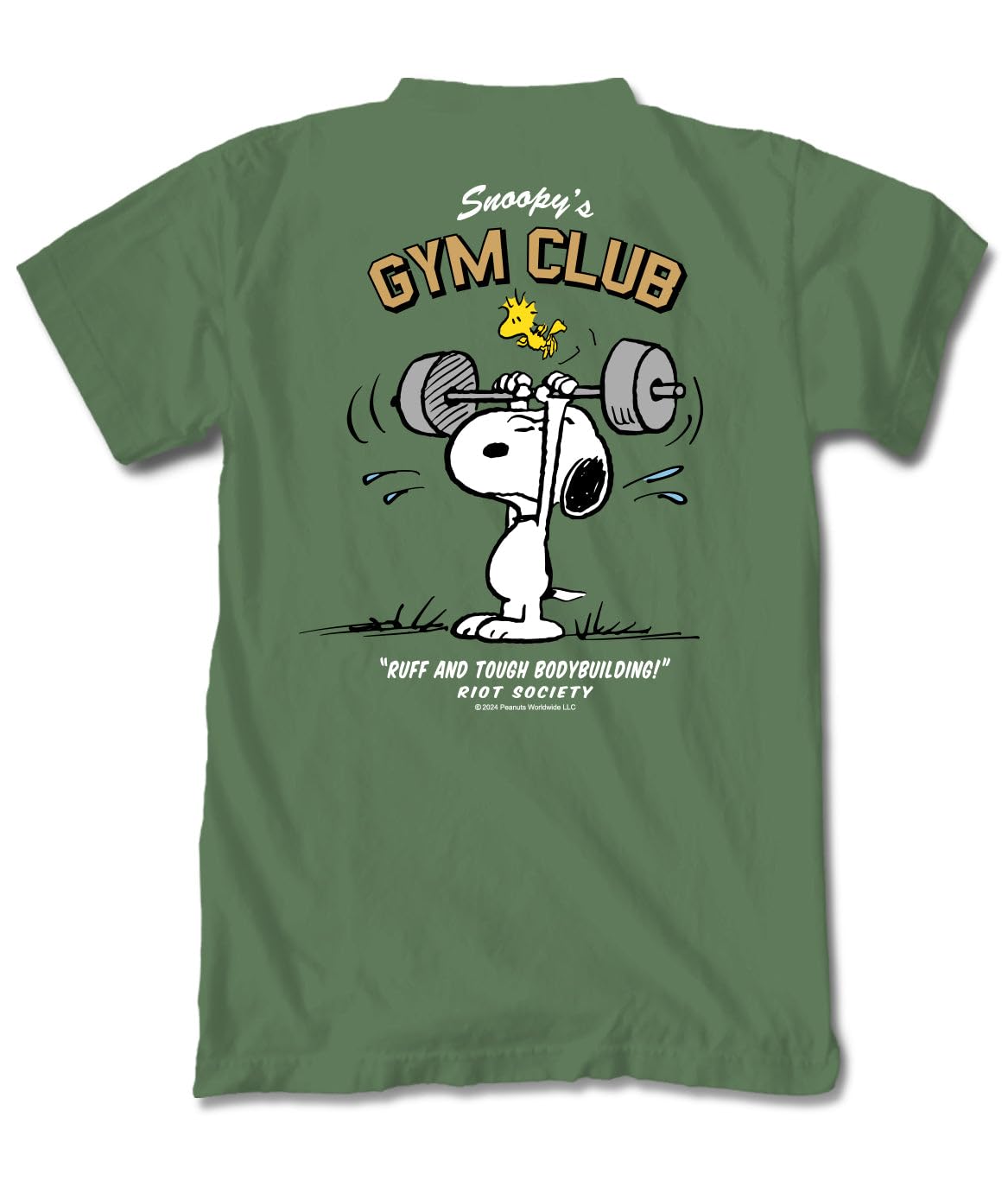 Riot Society Men's Short Sleeve Graphic and Embroidered Fashion T-Shirt