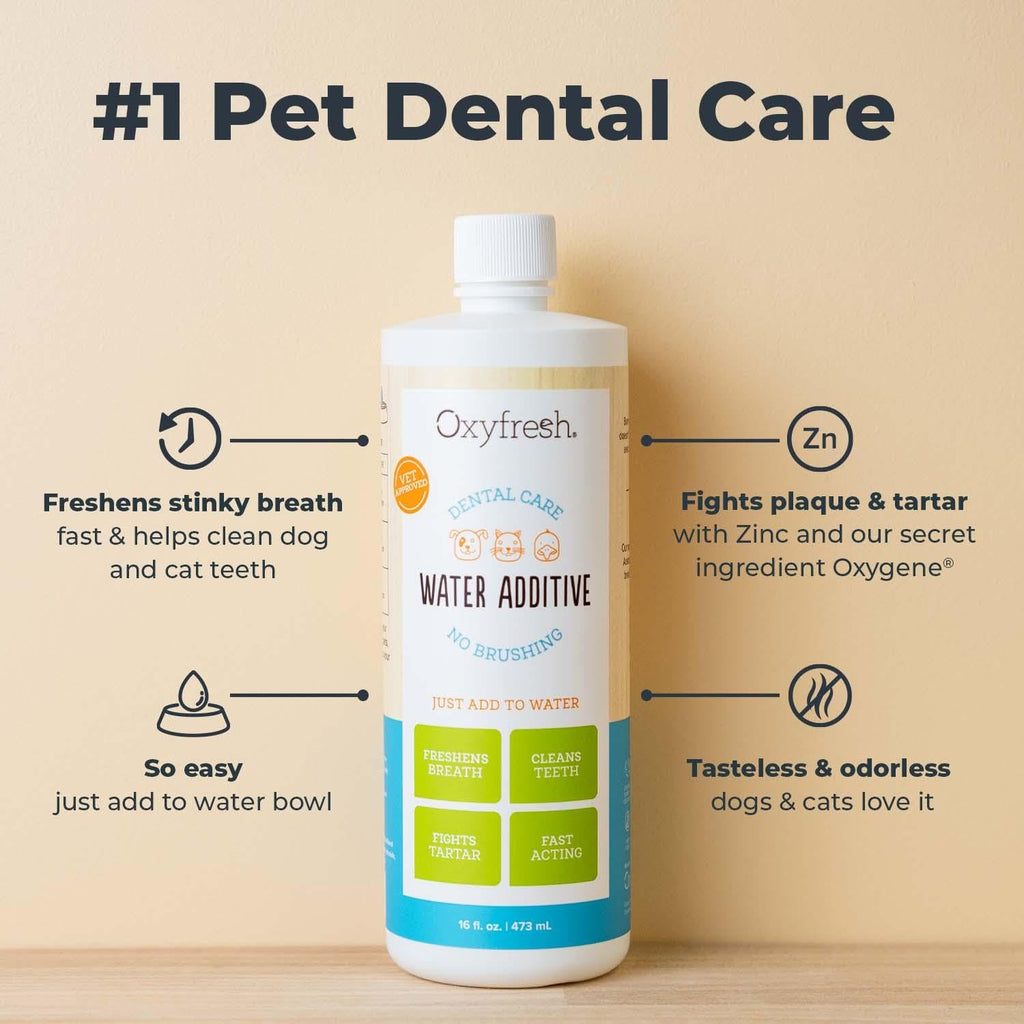 Oxyfresh Premium Pet Dental Care Solution Pet Water Additive: Best Way to Eliminate Bad Dog Breath and Cat Bad Breath - Fights Tartar & Plaque - So Easy, Just Add to Water! Vet Recommended 128 oz.