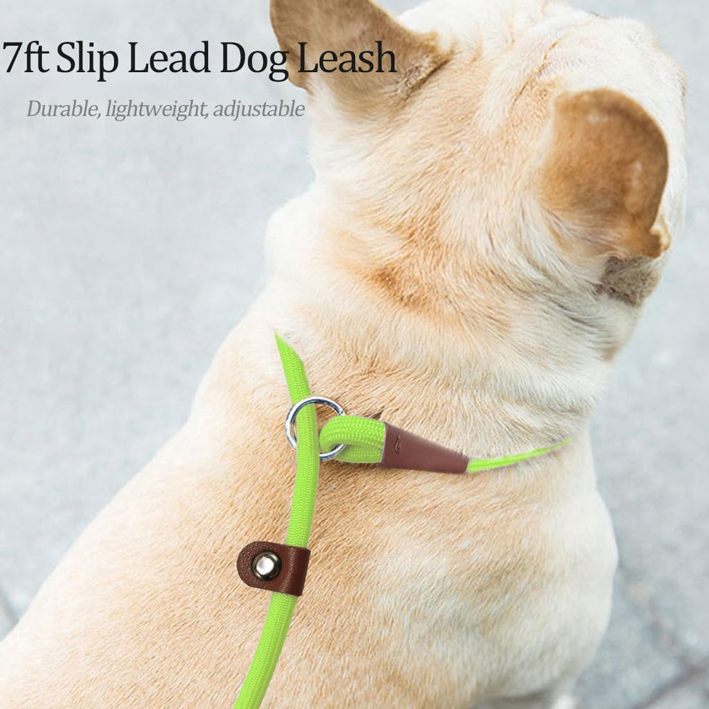 MayPaw Slip Lead Control Leash for Dogs No Pull, 13+ Colors Classic Dog Lead 7 FT Pet Slip Leash, 1/4” Rope Leashes for Small Medium Animals (7ft*1/4", Black)
