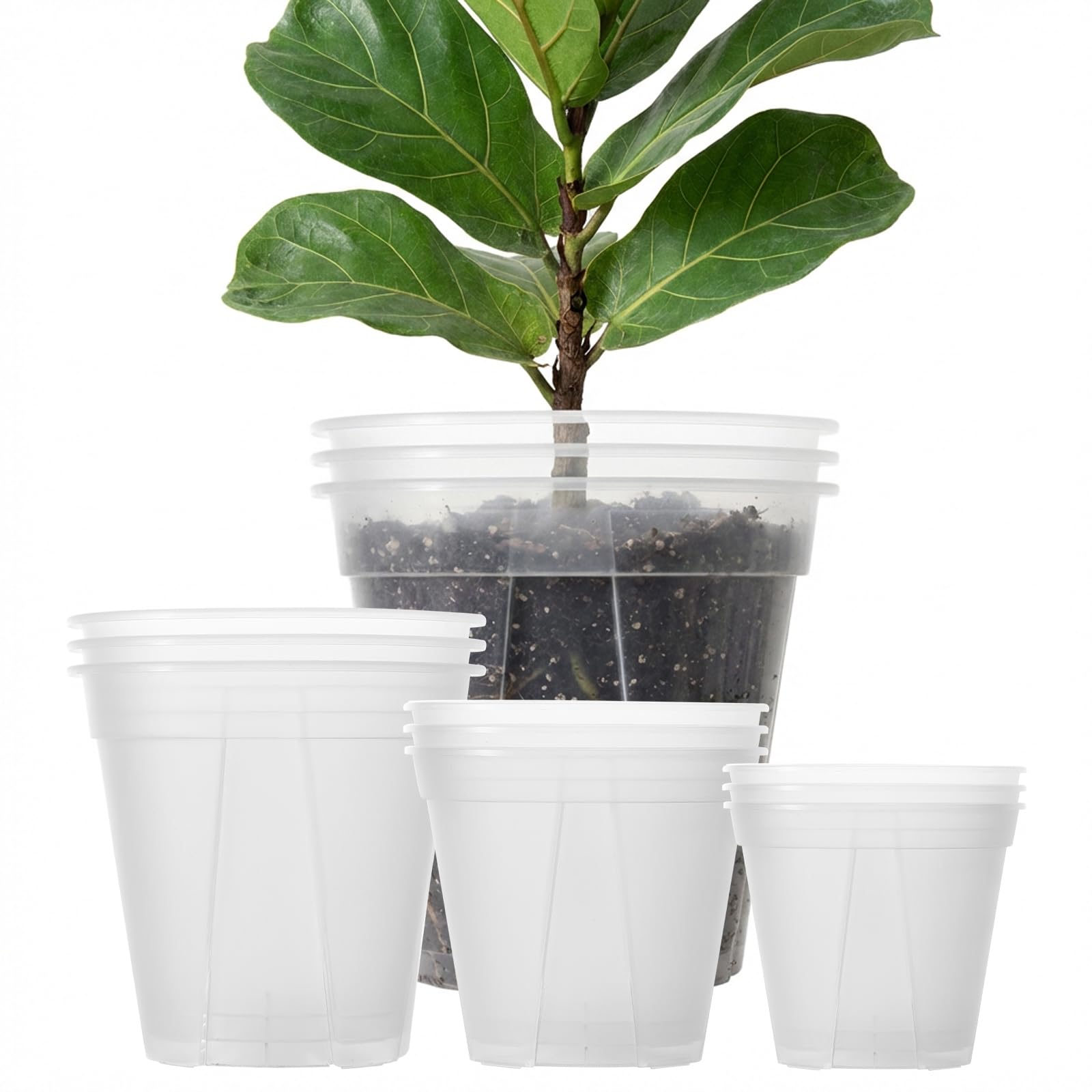 24 pcs 6/5 inch Clear Nursery pots for Plants Saucers,5/6 inch Clear Heavy pots with Side Vents for Reporting Orchids,Aroid,Monstera, Indoor & Outdoor use