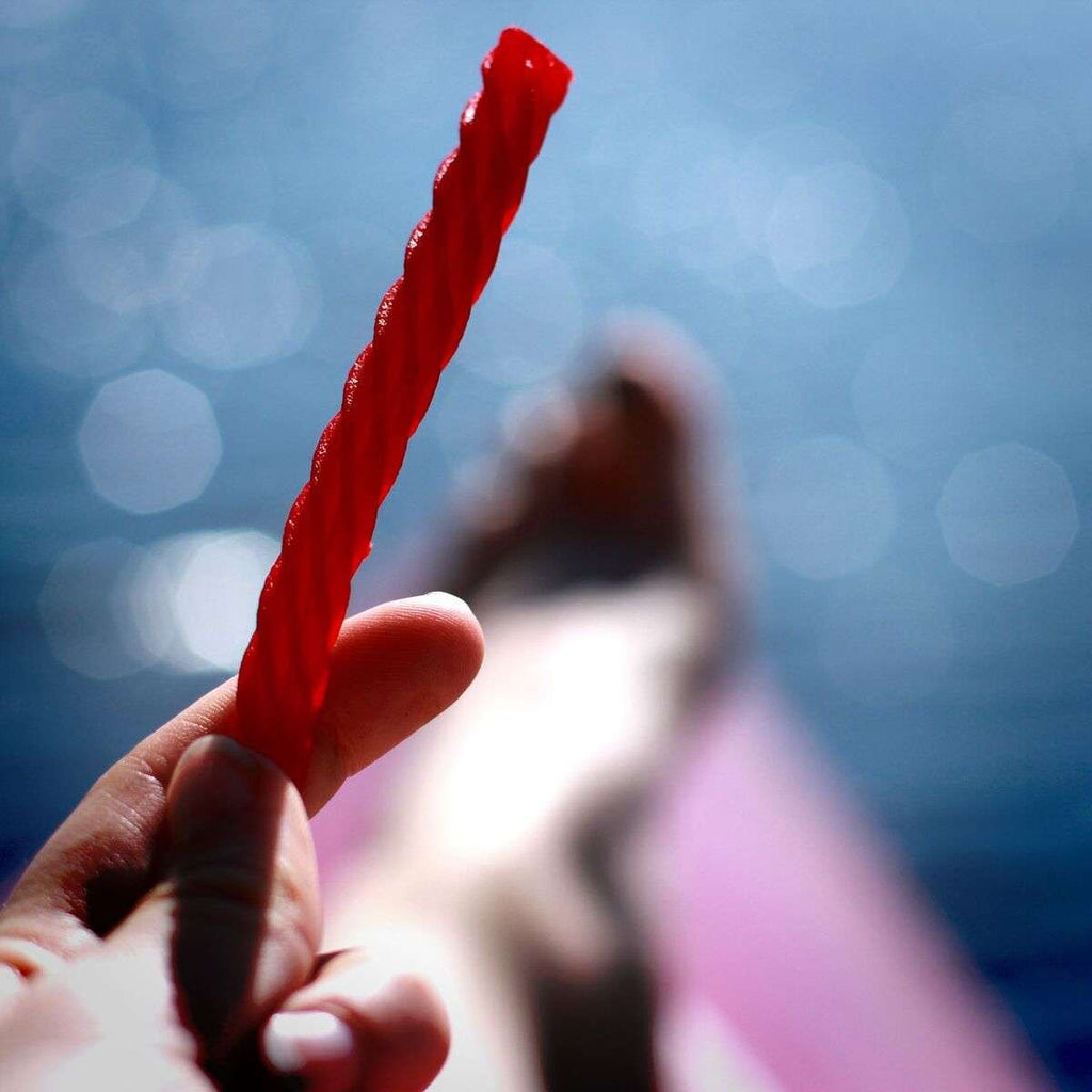 Red Vines Licorice, Grape Flavor Twists, Soft & Chewy Candy, 5oz Trays (12 pack)