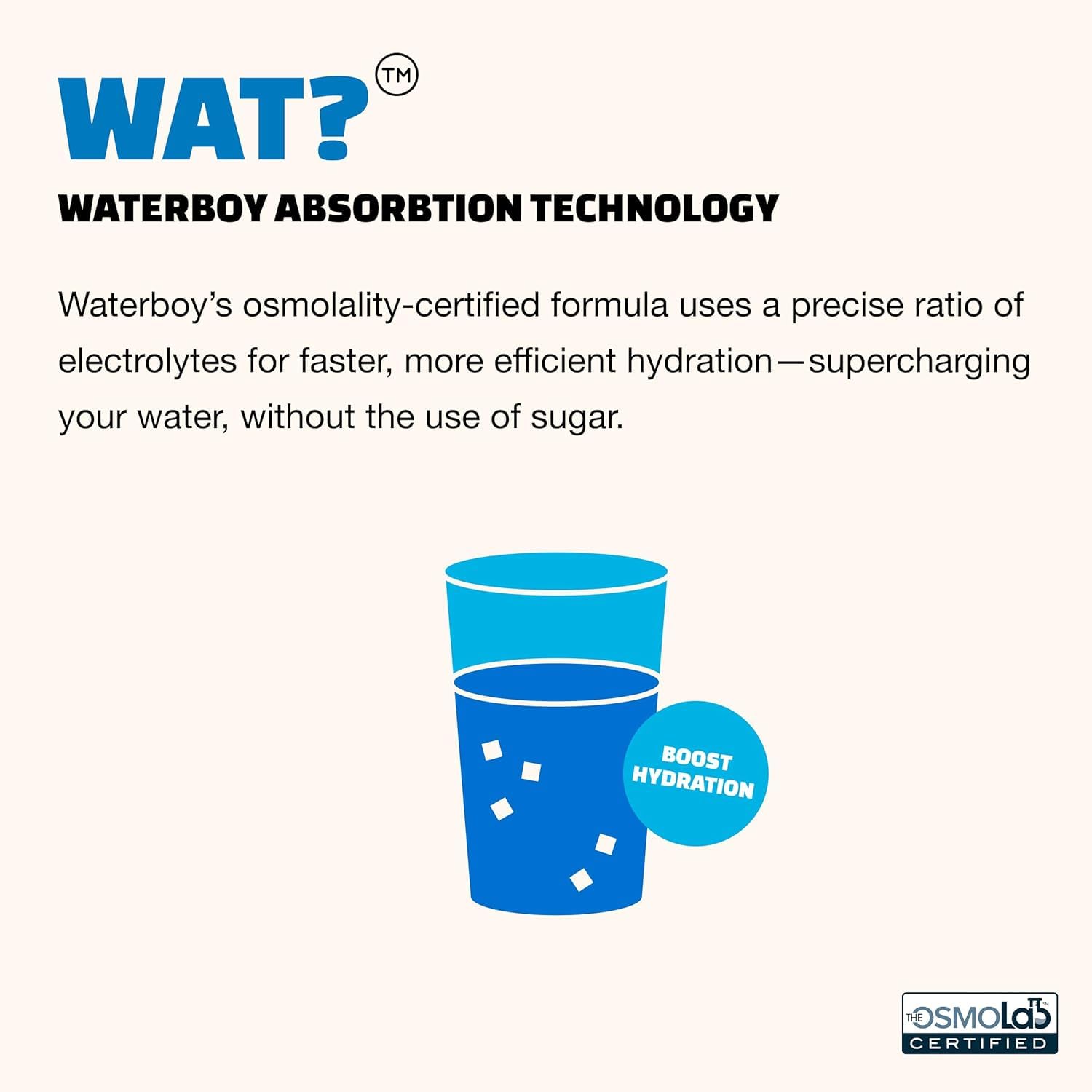 Waterboy - Weekend Recovery, Blue Raspberry, Sugar Free Electrolytes Powder Drink Mix - 24ct Hydration Packets