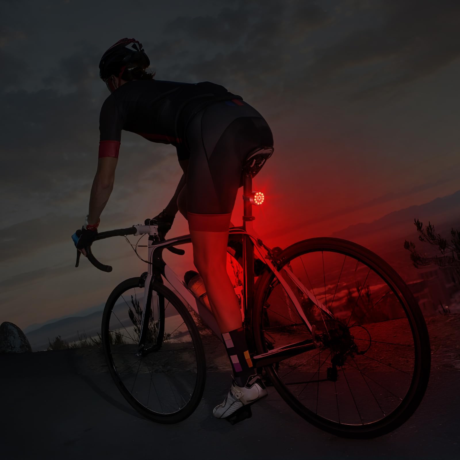 Ascher USB Rechargeable LED Bike Tail Lights 2 Pack, Bright Bicycle Cycling Rear Light, 4 Light Mode Options Safety Bike Light for Adults Kids Men Women Road Mountain(2 USB Cables Included)