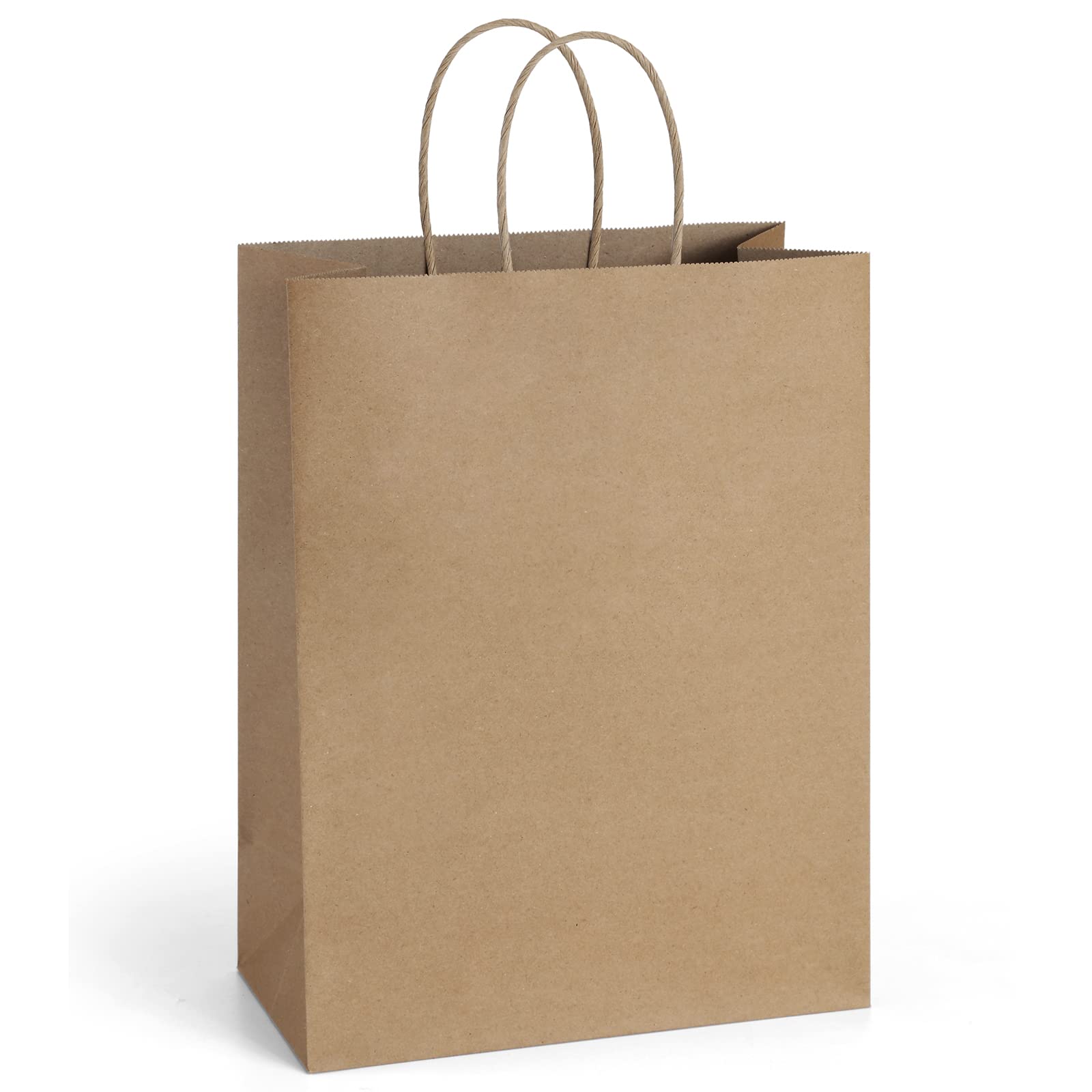 BagDream Gift Bags 10x5x13 25Pcs Kraft Paper Shopping Bags with Handles, for Gifts, Business, Merchandise, Retail, Party Favor, Black Recycled Paper Sacks