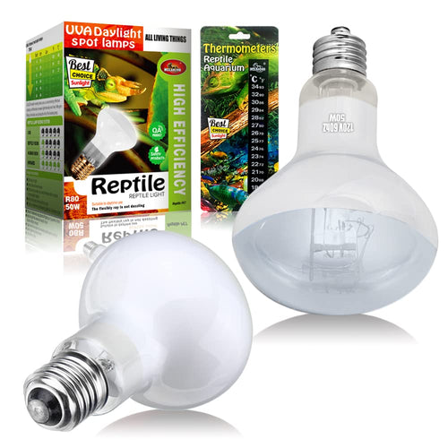 2 Pack 50W Reptile Heat Lamp Bulb Amphibian Basking Light Bulb, Reptile Daylight Bulb for Turtle, Bearded Dragon, Lizard,Chicken with Stick-on Digital Temperature Thermometer
