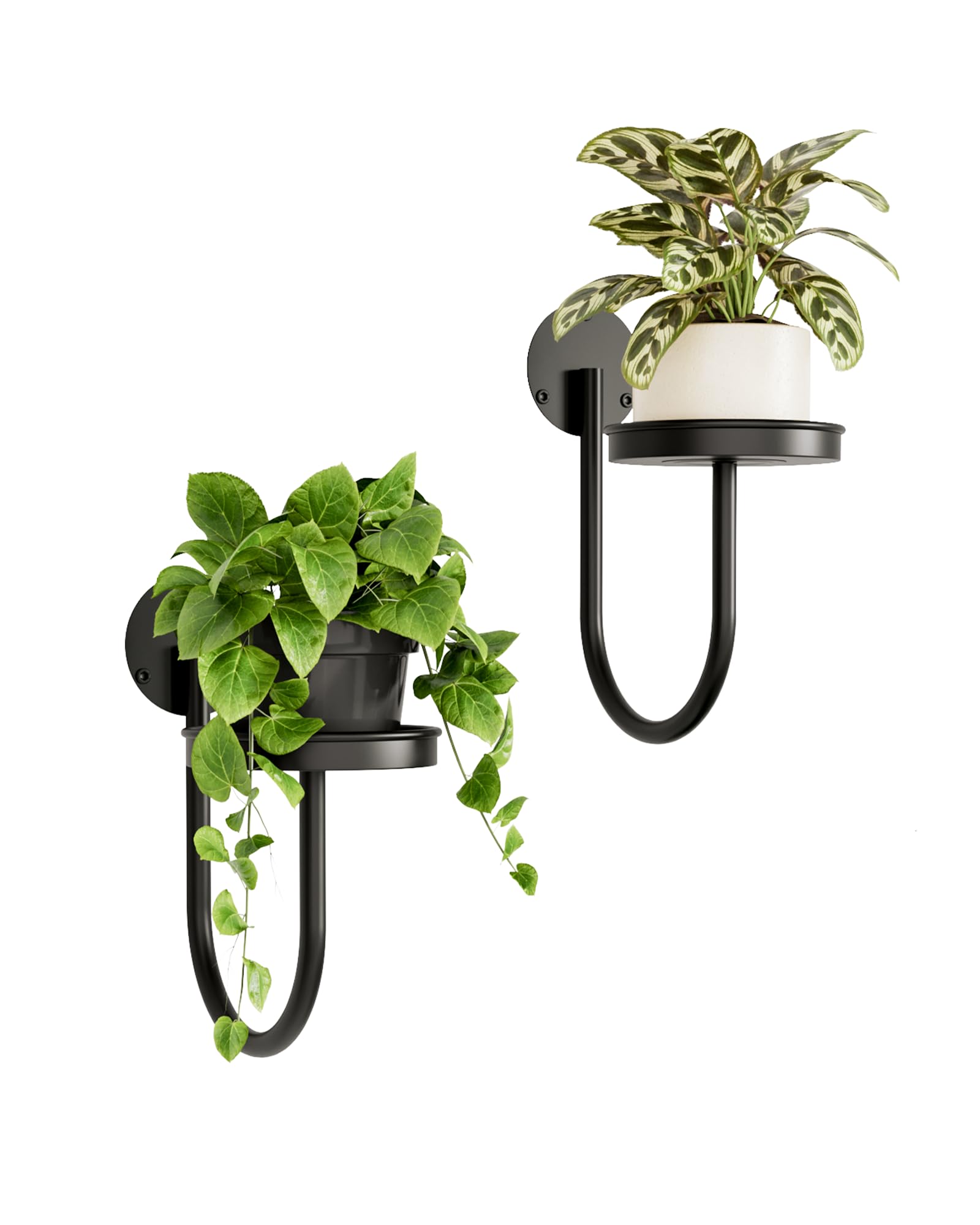 Bamworld Hanging Planters for Indoor Plants Wall Plant Holder Plant Hanger Indoor Wall Planters Window Plant Shelves Hanging Plant Holder Window Plant Hanger Plant Decor Black 3pcs