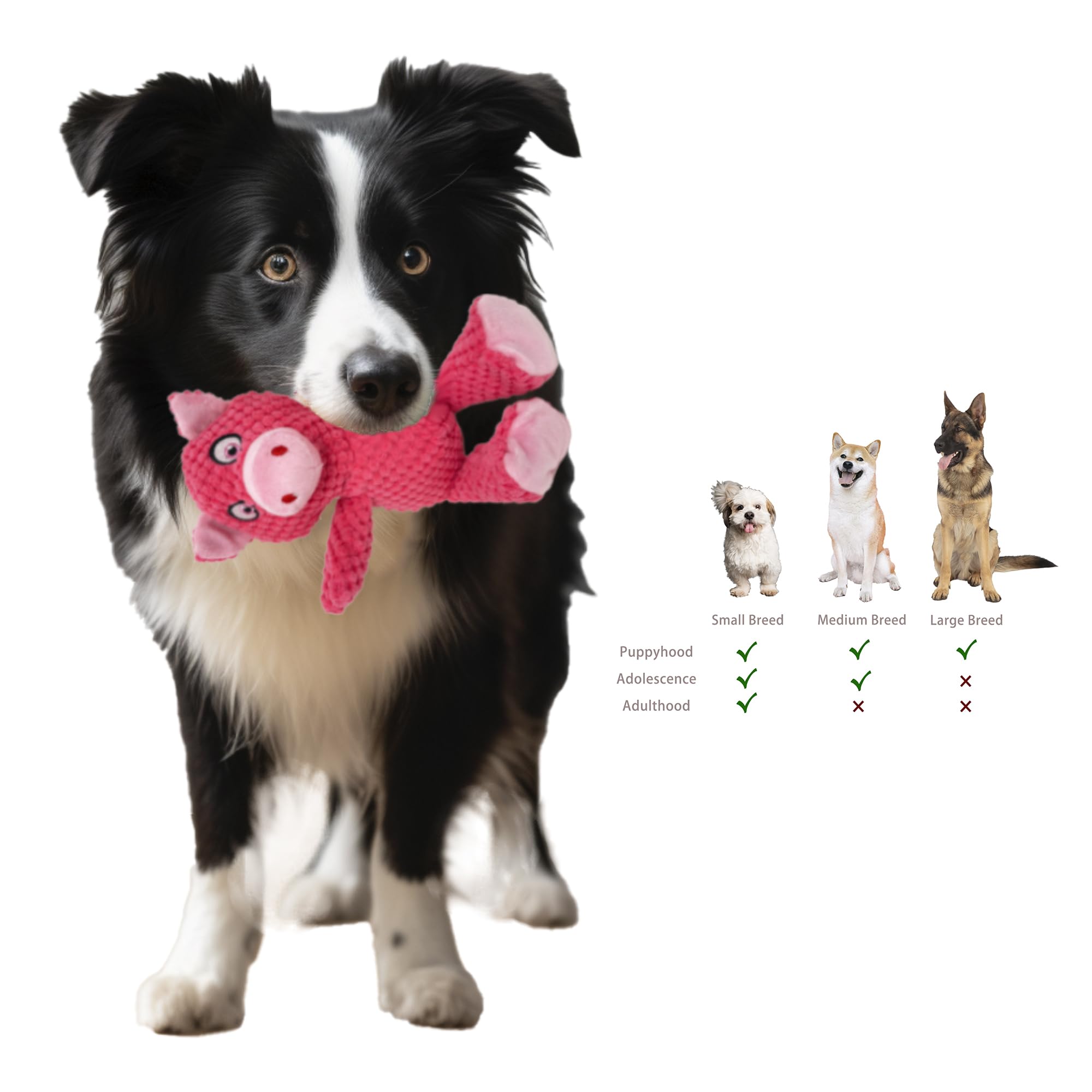 Jalousie Multipack Dog Squeaky Toys Strong Almost Indestructible, with Added Liner for Longer Play Dog Chew Toys (3 Pack - XLarge)
