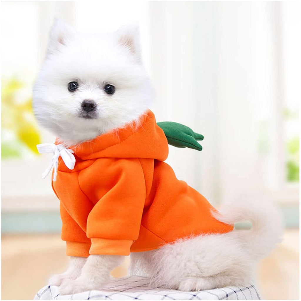 Warm Dog Winter Clothes Cute Fruit Dog Coat Hoodies Fleece Pet Dogs Costume Jacket for French Bulldog Chihuahua Ropa para Perro(Coffee,XS)