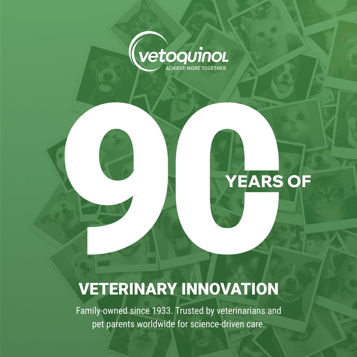 Vetoquinol Viralys - Lysine Supplement for Cats & Kittens - Supports Eye Wellness, Respiratory Health & Immune Strength - Flavored Oral Powder for Easy Feeding & Daily Use - 100 Grams