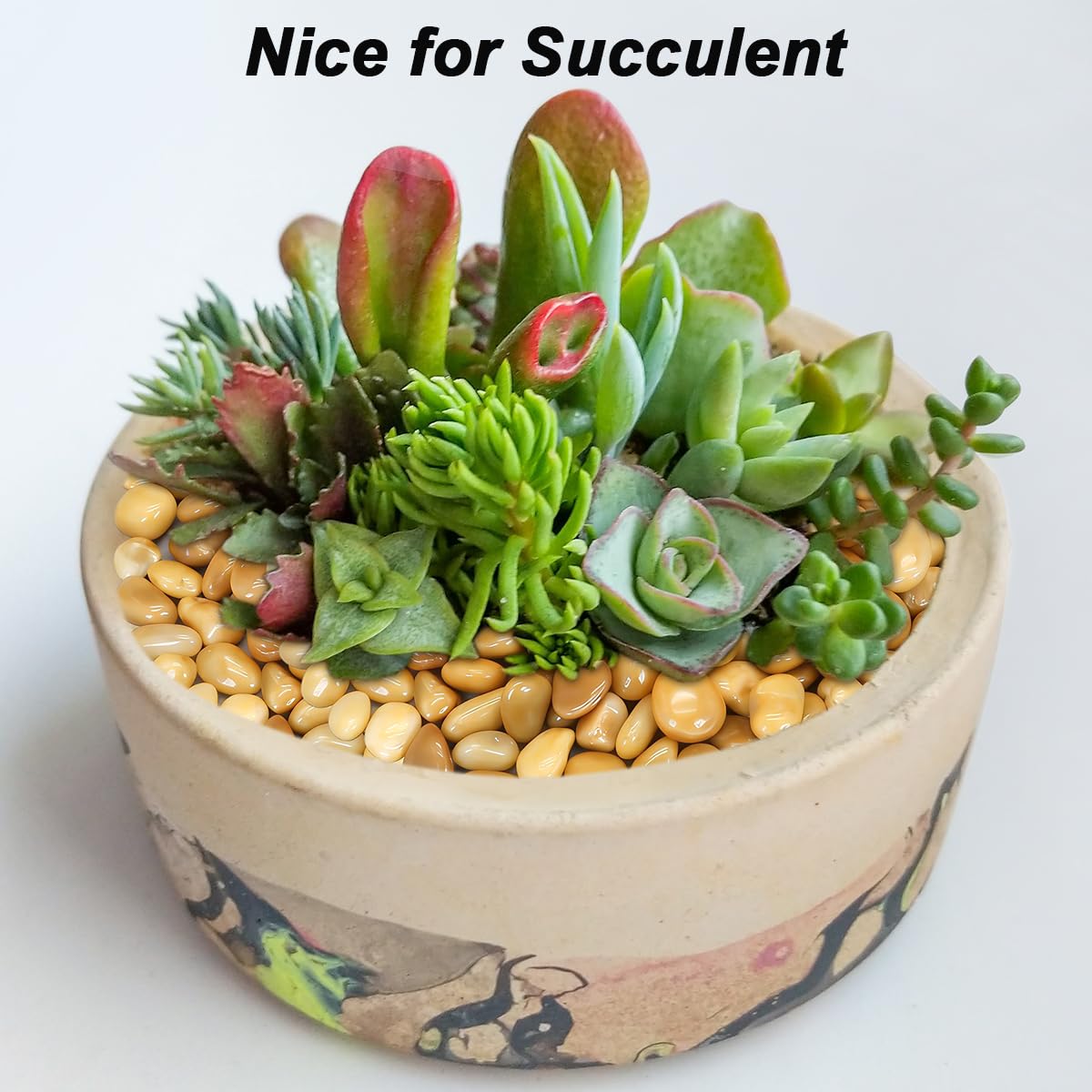 Terrarium Supplies,Virekm River Rocks, Decorative Ornamental Pebbles,Garden Landscaping Stones,Gravel Filler for Home Decoration Flower Bed Fish Tank Plants Vases Succulents