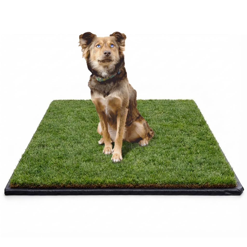 DoggieLawn XL - Real Grass Disposable Potty Training Puppy Pee Pads, Dog Grass Pee Pad, Potty Training Pee Pad, Puppy and Dogs Grass Pee Pads, Puppy Grass Pads, 48 x 24 Inches with Reusable FlexTray