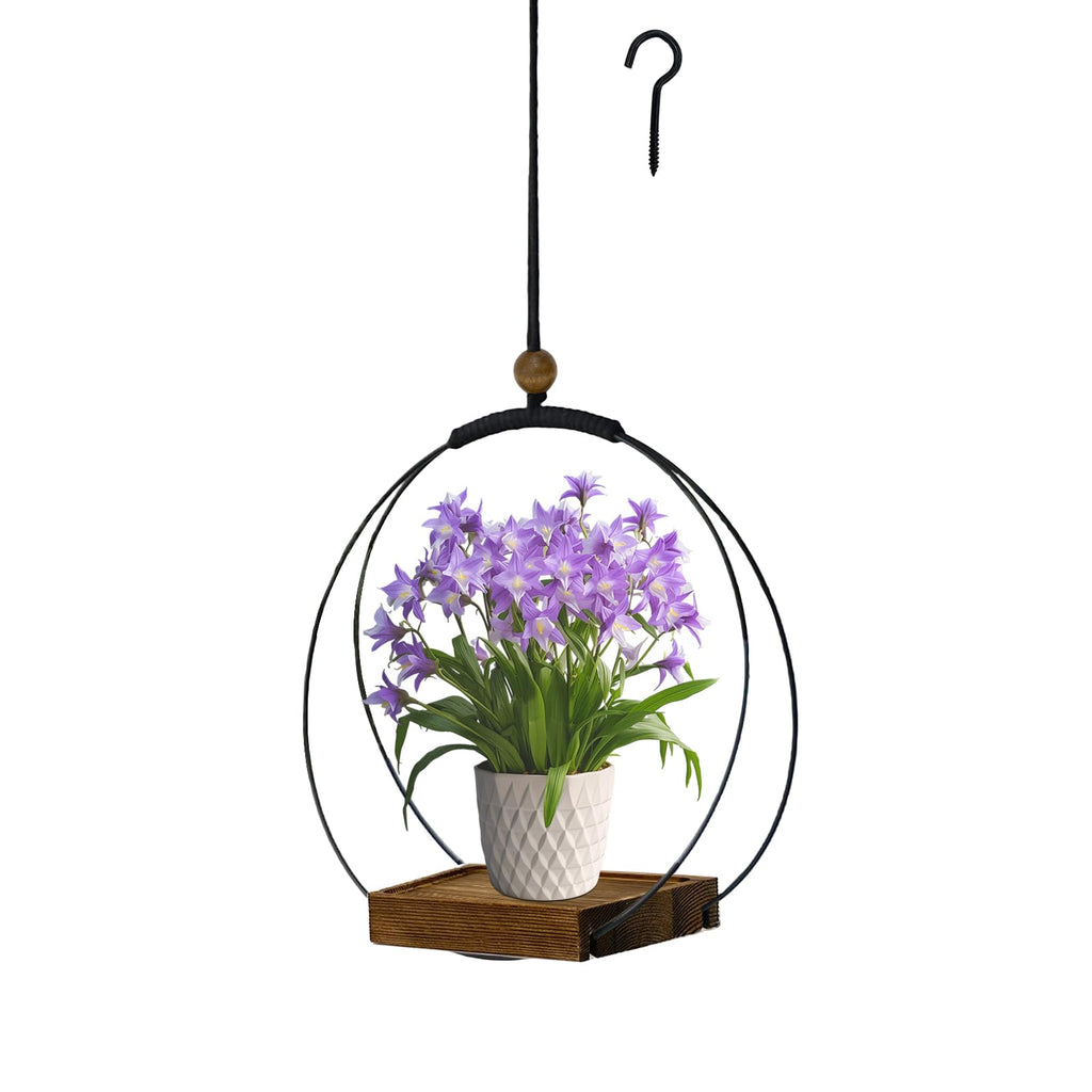 Hanging Planter for Indoor Plants, Black Plant Hanger Indoor with Sturdy Wood Base, Modern Boho Macrame Plant Hanger for 3-5.5 Inch Pot, Hanging Wall Ceiling Window Home Decor (Pots Not Included)