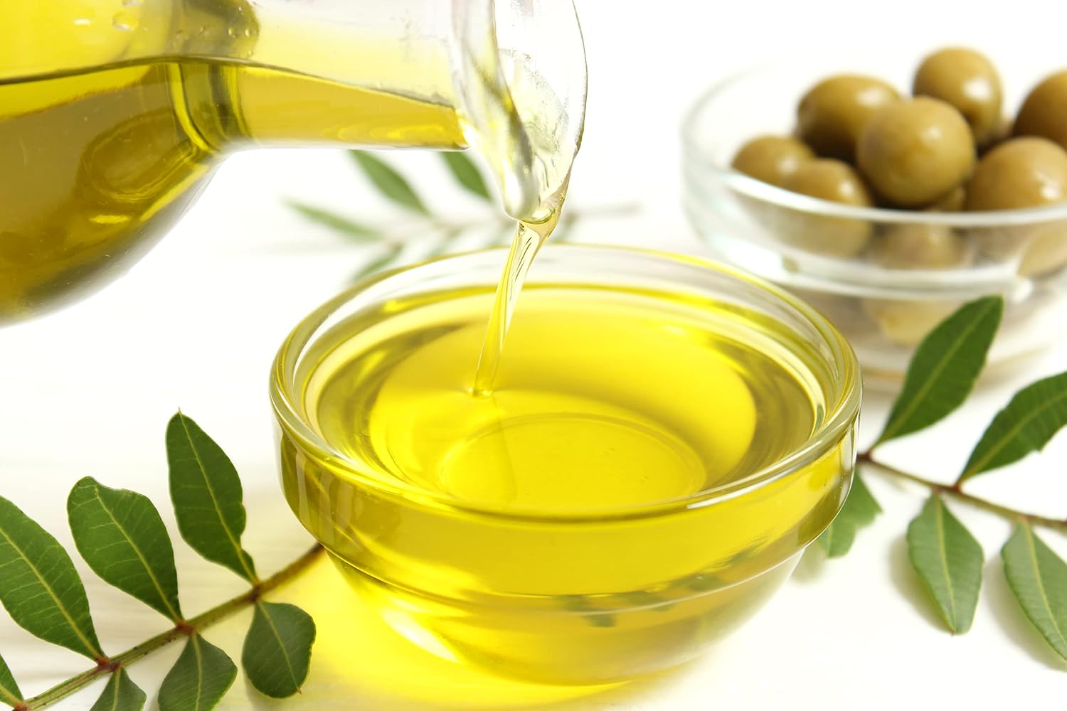 Sanniti Laudemio Organic Extra Virgin Olive Oil Fattoria di Maiano, Gold Award Winner at NYIOOC World Olive Oil Competition, 16.9 oz