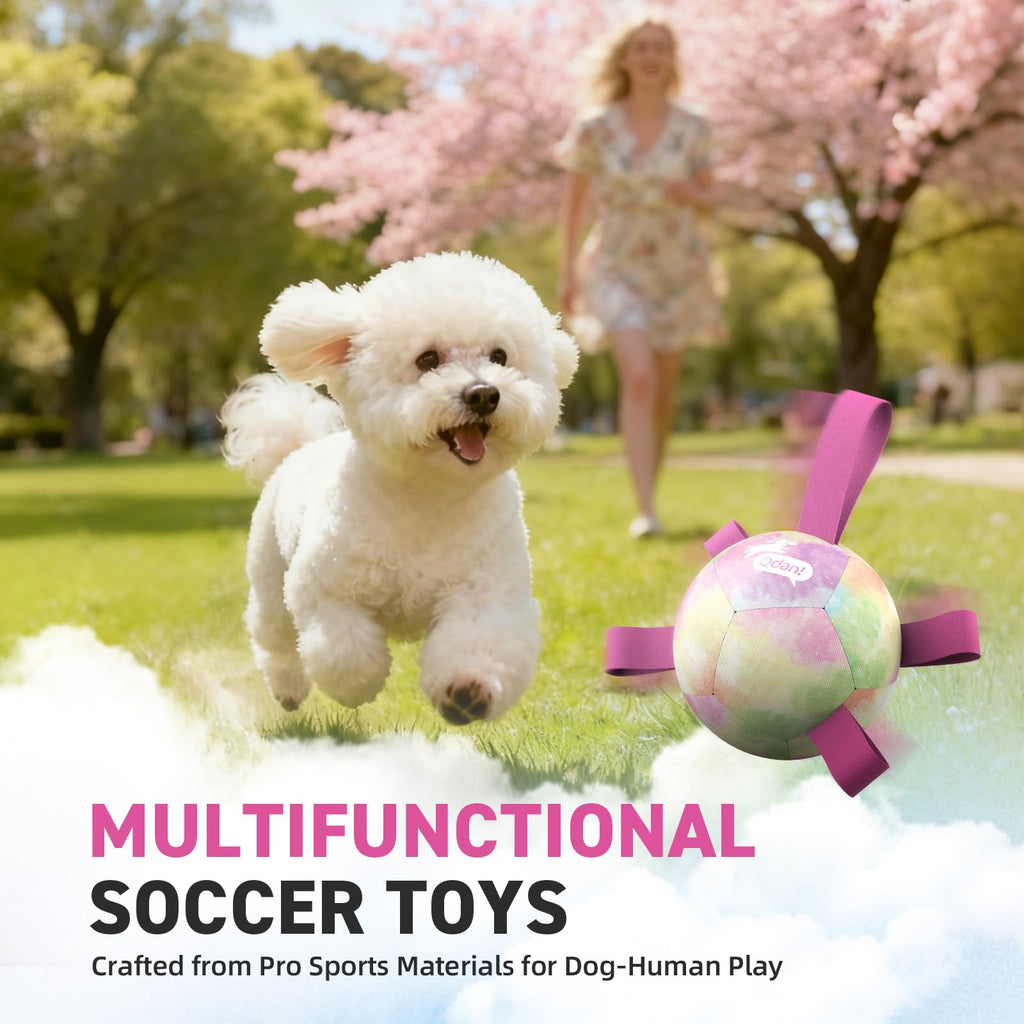 QDAN Dog Toys Soccer Ball with Straps, Durable Dog Balls for Tug of War, Puppy Birthday Gifts, Dogs Water Toy Small Dogs-Rainbow（5 Inch）
