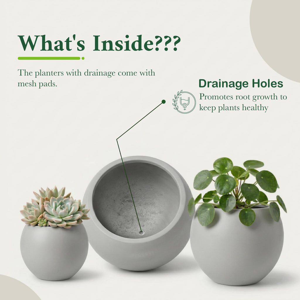 DTY Fiberstone Globe Planter Indoor Outdoor — Lightweight Sphere Ball Pot for Olive Tree, Monstera & Palm | Fiberglass Stone | UV Resistant, Drainage Hole | 2 Coco Mats | Black | 12.6" D × 10" H