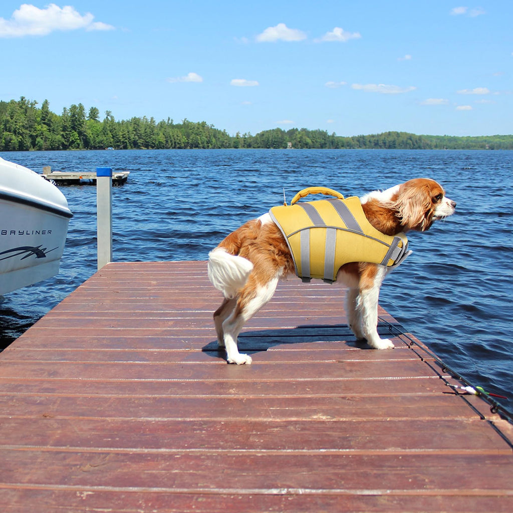 Kuoser Dog Life Jacket with Reflective Stripes, Dog Life Vest for Swimming Boating, Adjustable Pet Lifejackets with High Flotation, Doggie Swimsuit for Small Medium Large Dogs
