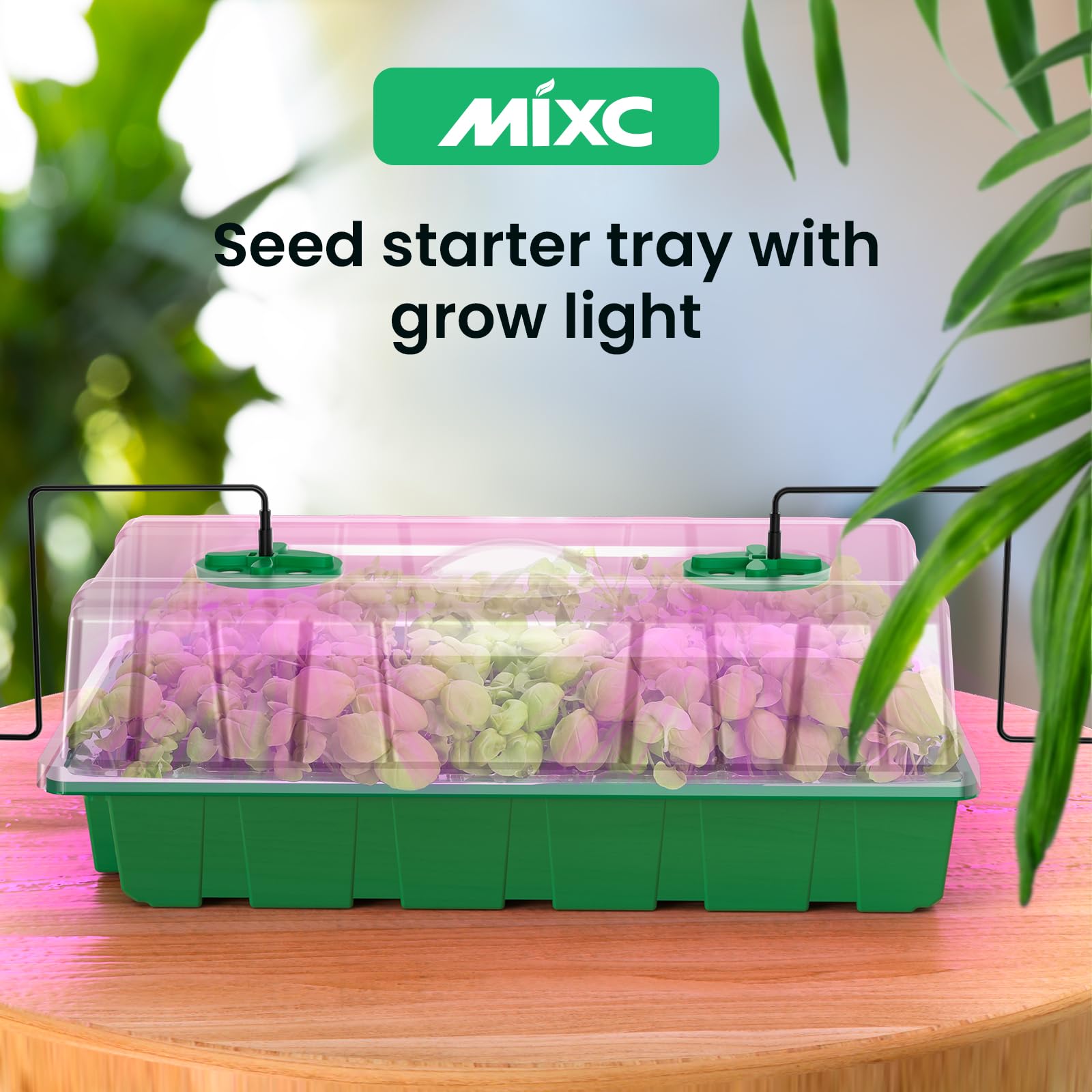 MIXC Seed Starter Tray with Lights, 2 Packs Mini Propagator Plant Grow Kit Greenhouse with Humidity Vented Domes and Base for Seeds Starting, Black