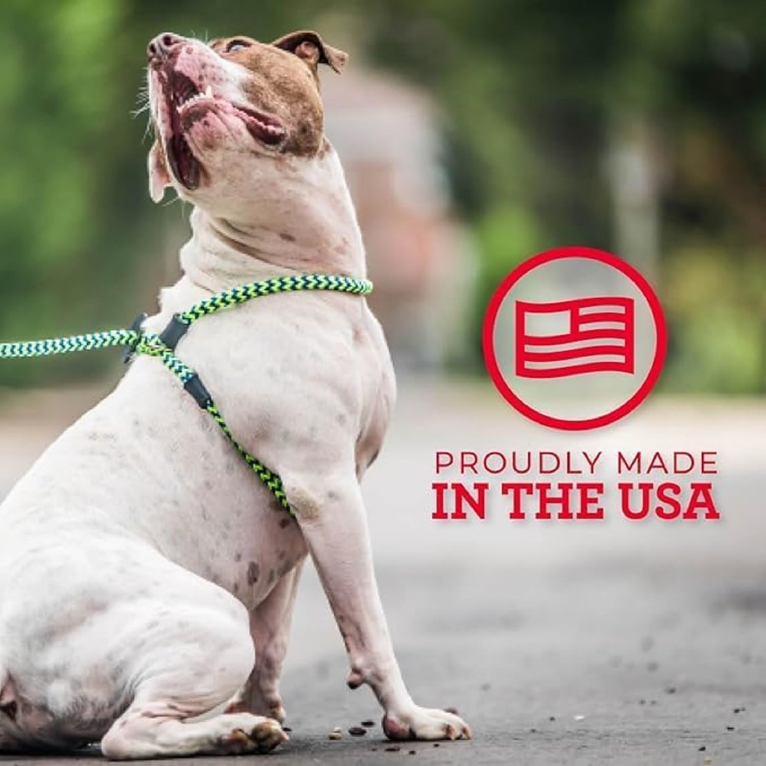 Harness Lead Escape Resistant, Reduces Pull Dog Harness, Medium/Large, Black