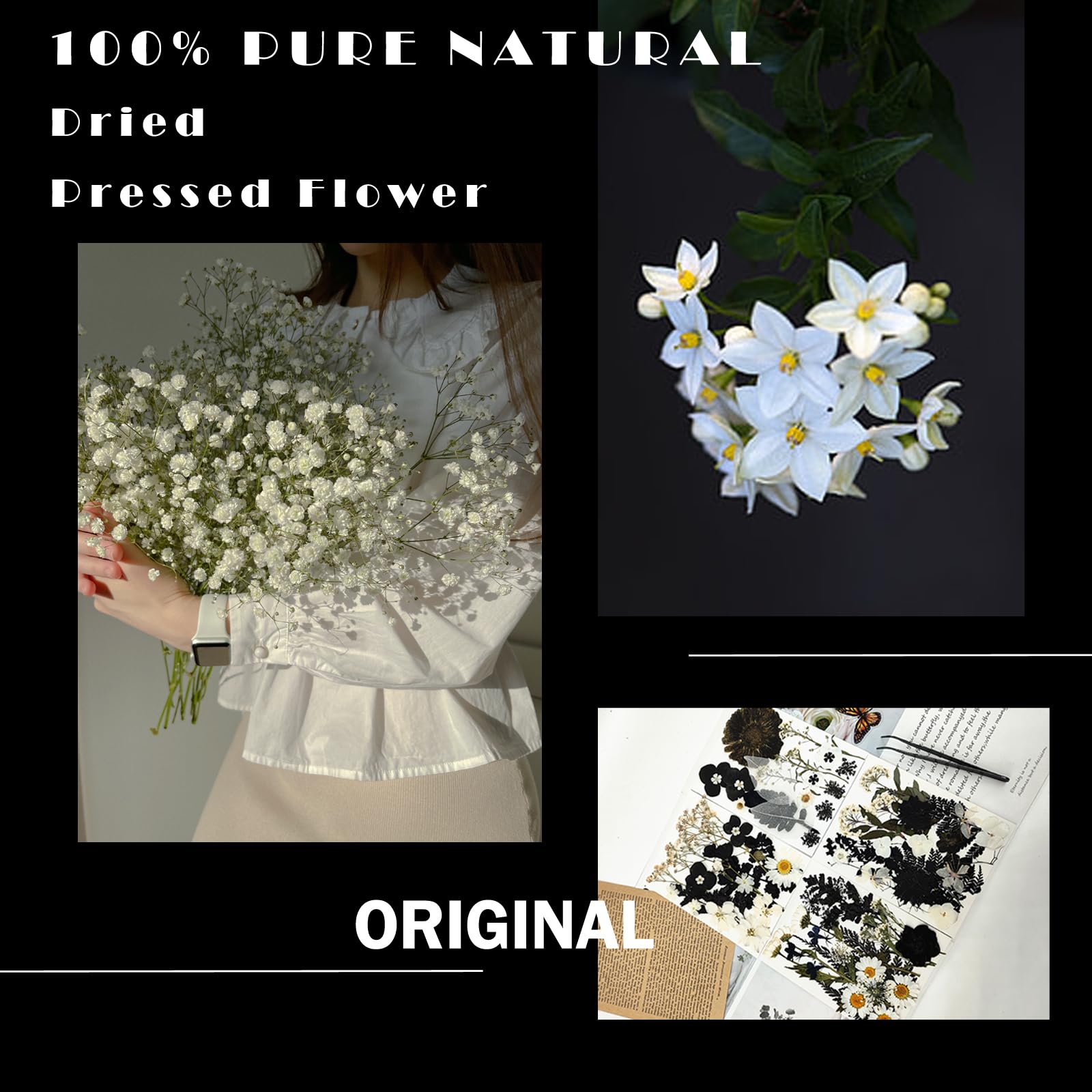 MIKIYA 98Pcs Pressed Dried Flowers for Resin Molds, Real Natural Bulk Big Dry Floral Leave for DIY Art Crafts, Epoxy Jewelry, Candle, Soap Making, Nails Decors