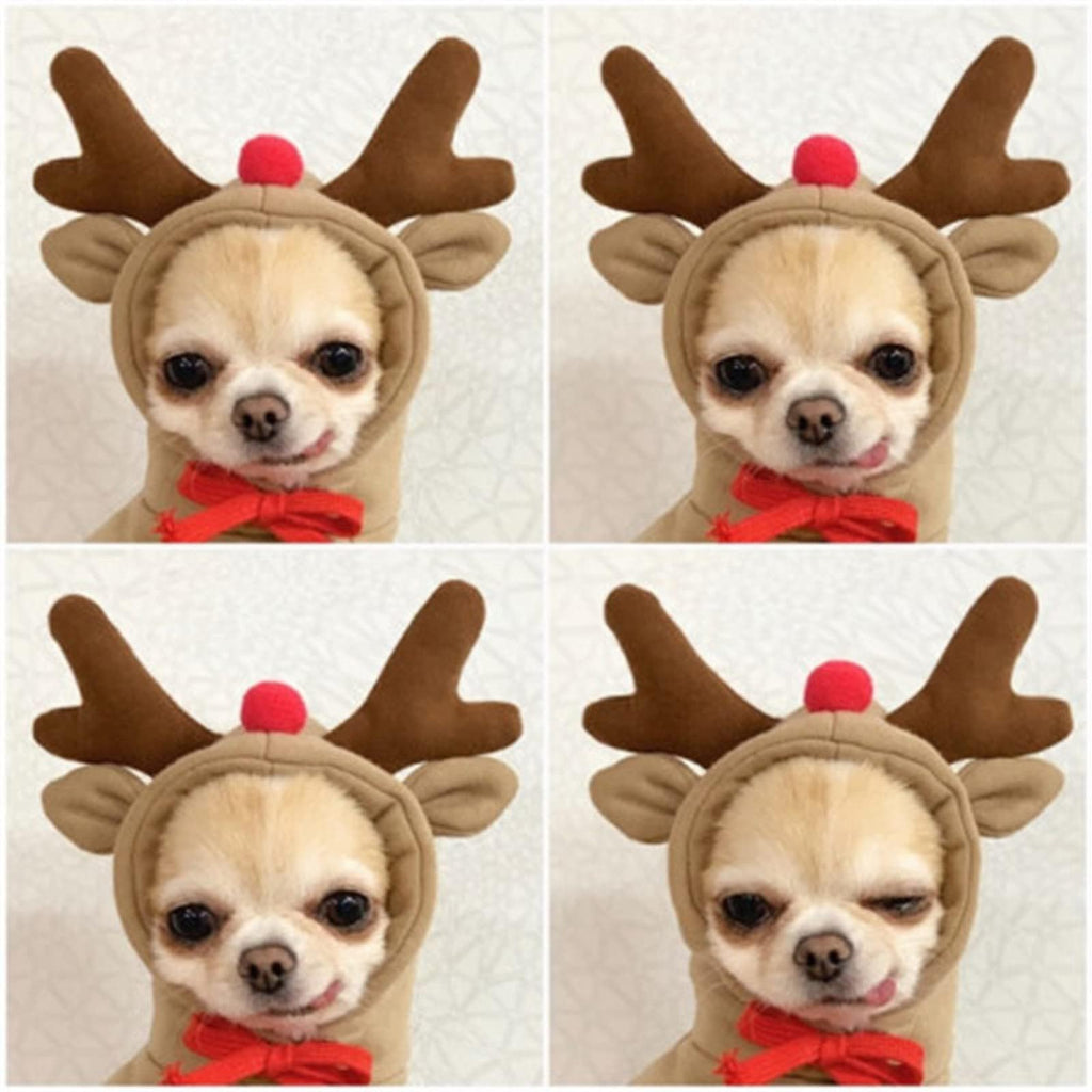 Warm Dog Winter Clothes Cute Fruit Dog Coat Hoodies Fleece Pet Dogs Costume Jacket for French Bulldog Chihuahua Ropa para Perro(Coffee,XS)
