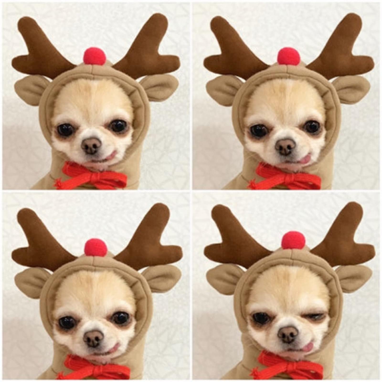Warm Dog Winter Clothes Cute Fruit Dog Coat Hoodies Fleece Pet Dogs Costume Jacket for French Bulldog Chihuahua Ropa para Perro(Coffee,XS)