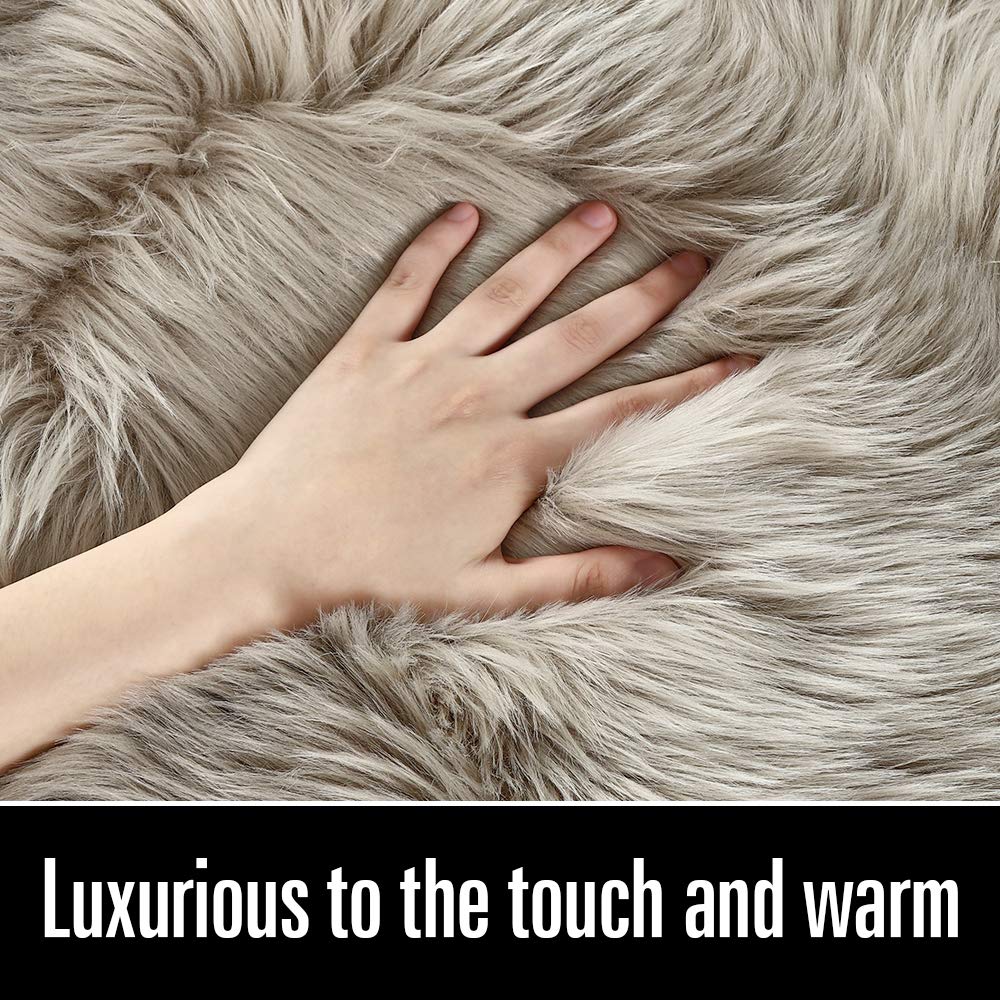 LOCHAS Soft Fluffy Faux Fur Rugs for Bedroom Bedside Rug 2x3 Feet, Washable, Furry Sheepskin Area Rug for Living Room Girls Room, Luxury Shag Carpet Home Decor, Beige