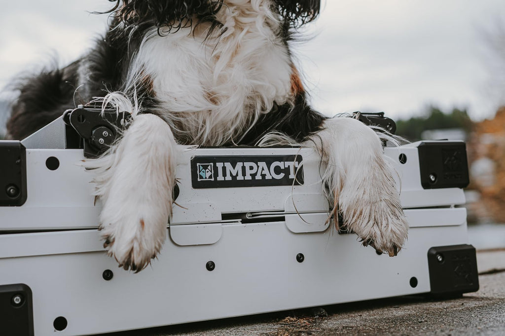 Impact Collapsible Dog Crate - Foldable Hard Crate for Medium Dogs - Heavy Duty Travel Kennel with Powder-Coated Aluminum - Quick Setup for Indoor & Outdoor (White, 30" (30.5" L x 20.5" W x 26" H))