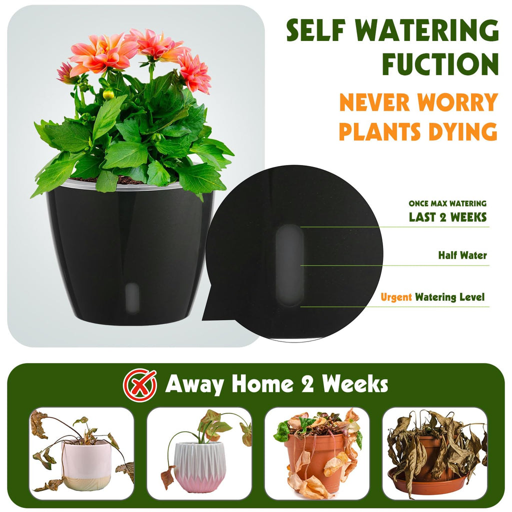 Self-Watering Pots for Indoor Plants, 16-Pack Self Watering Planter with Drainage Holes, Small African Violet Pots with Water Indicator, 10-Pack 5''/6-Pack 6.7'' Orchid Pot, Black