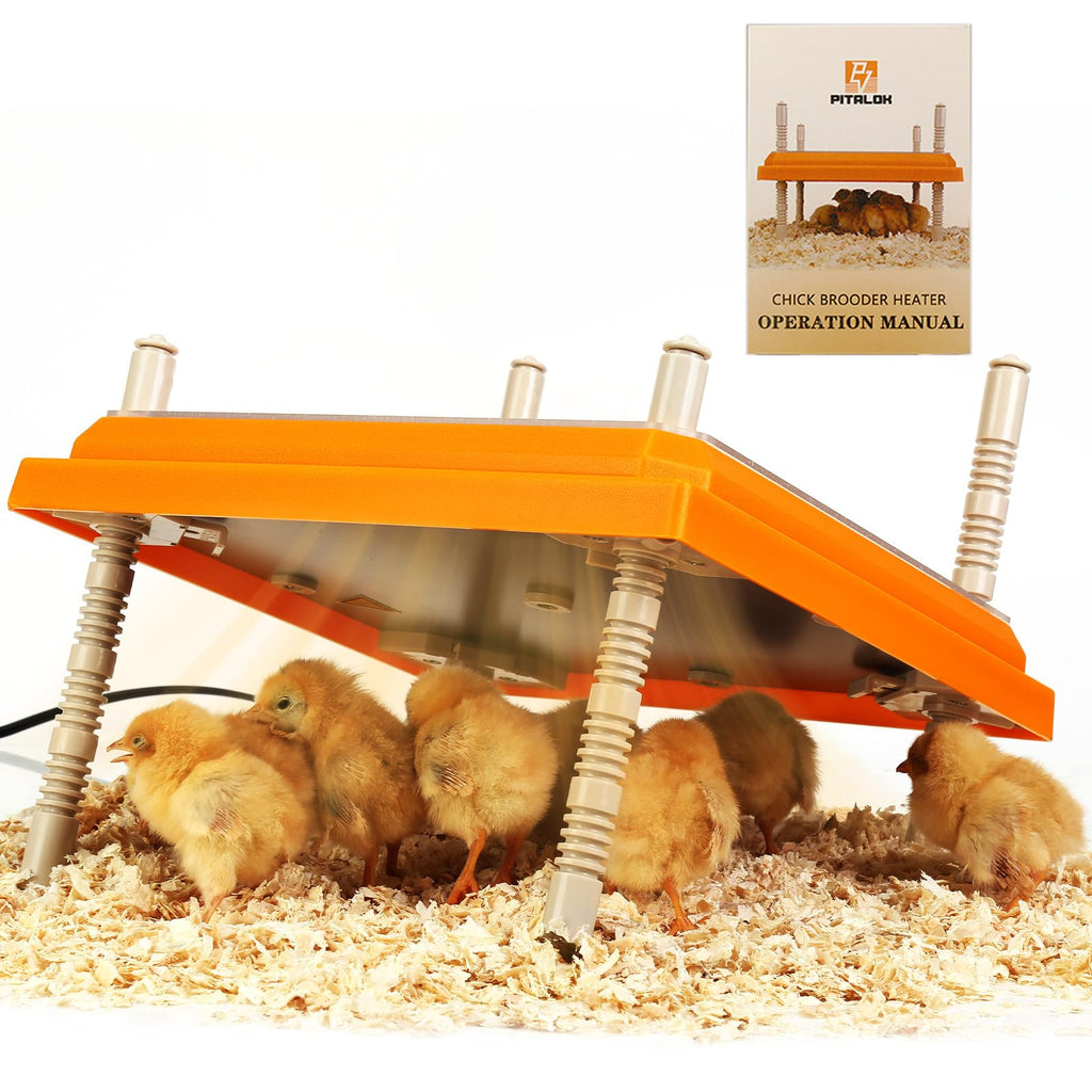 Brooder Heater for Chicks: Chick Brooder Heating Plate with Easy- Cleaning Plate Poultry Coop Heater Chicks Warmer 10" x 10" for 15 Chicks Adjustable Height Brooding Heater 15 Watts