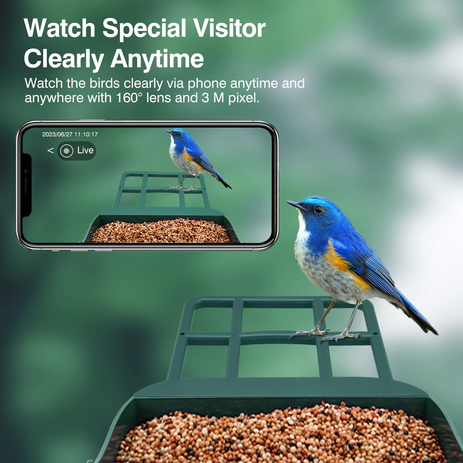 Smart Bird Feeder with Camera,AI Identify Species,Bird House with Solar Powered,Instant Arrival Alerts,2K Capture Video,Live View for Lover (Blackish Green)