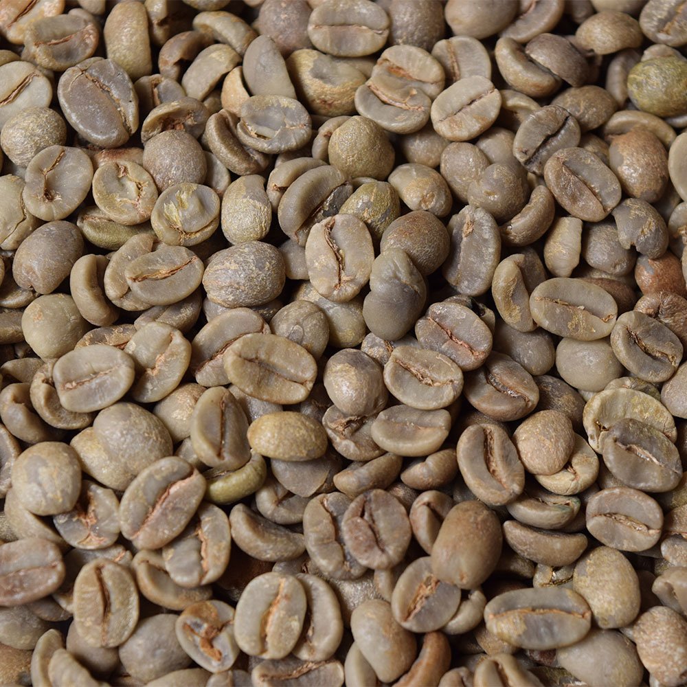 Fresh Roasted Coffee, Adventurer Unroasted Green Coffee Beans Home Roasting Starter Kit, Variety 4-Pack, Kosher, 4 lb (Four 1 lb Bags)