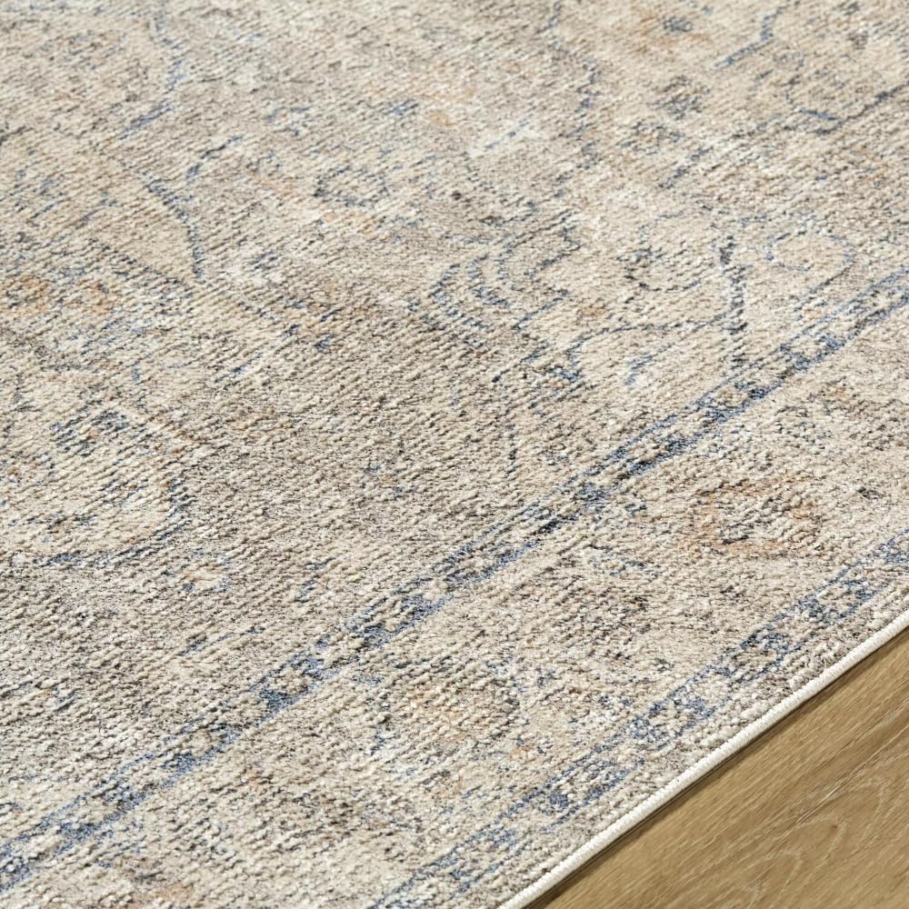 Livabliss x Galey Alix Maria Elena III Vintage Medallion Area Rug, 5'3" x 7' (5' x 7'), Brown