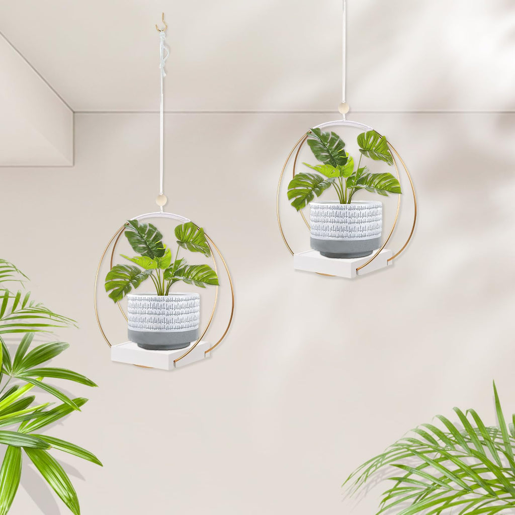 Hanging Planter for Indoor Plants, Black Plant Hanger Indoor with Sturdy Wood Base, Modern Boho Macrame Plant Hanger for 3-5.5 Inch Pot, Hanging Wall Ceiling Window Home Decor (Pots Not Included)