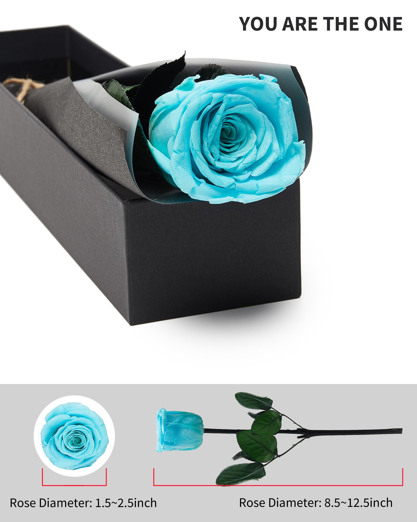 Flowers for Delivery Prime, Preserved Roses Flower Gifts for Women, Real Roses Single Rose Presents for Her, Mom Birthday Gifts from Daughter, Valentines Flowers Red Roses