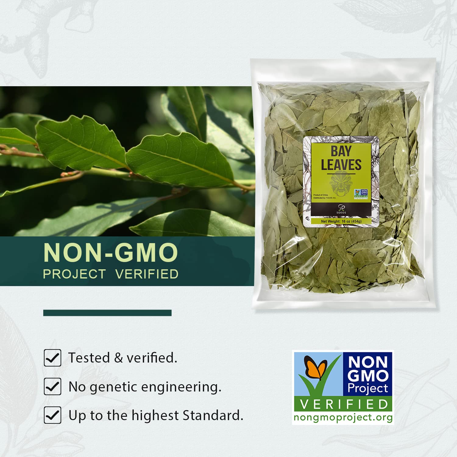 Soeos Bay Leaves Whole, 2 oz(57g), Non-GMO Verified, Dried Leaf, Freshly Packed to Keep Fresh, Laurel Herbs for Cooking, Dried Bay Leaves, Fresh, Green