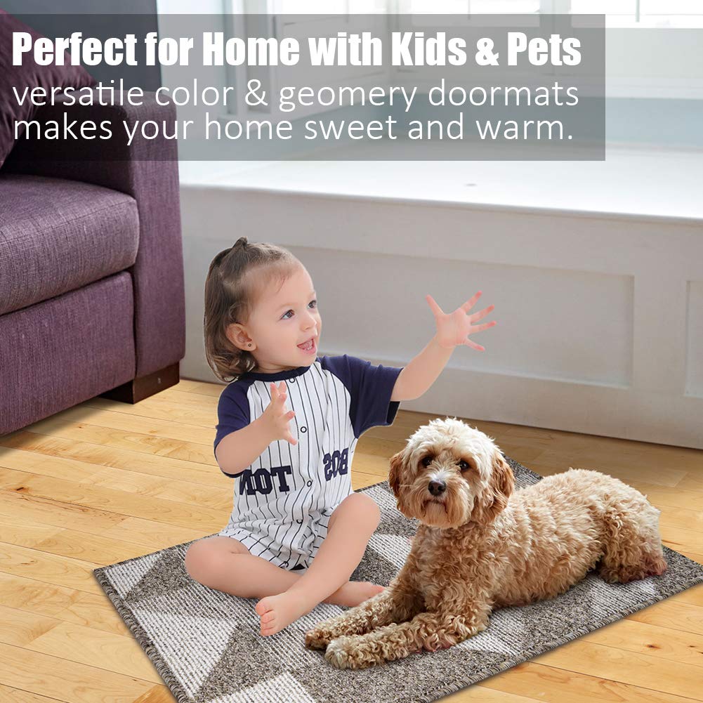 Indoor Doormat 24"x 36", Absorbent Front Back Door Mat Floor Mats, Rubber Backing Non Slip Door Mats Inside Mud Dirt Trapper Entrance Door Rug Carpet, Machine Washable Low Profile-Brown Time Cloister